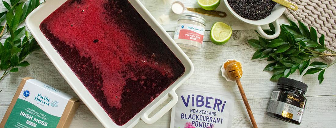Blackcurrant Honey Gummies