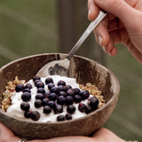 Freeze Dried Organic Blackcurrants 120g